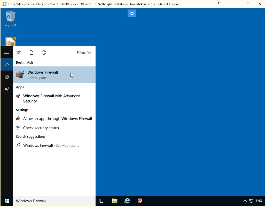 Figure 2.4 Screenshot of the PLABWIN10 desktop
